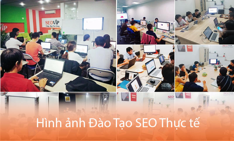 Lựa chọn tham gia khóa học SEO tại SEOViP