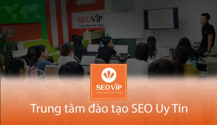 SEOViP chia sẻ các tiêu chí cần trước khi đầu tư vào một trung tâm học SEO