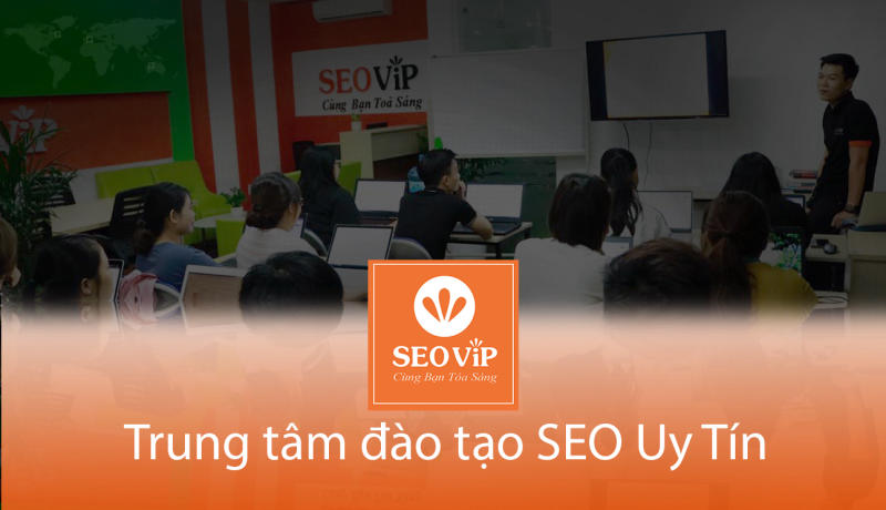 SEOViP chia sẻ các tiêu chí cần trước khi đầu tư vào một trung tâm học SEO